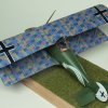 Pfalz D.VIII